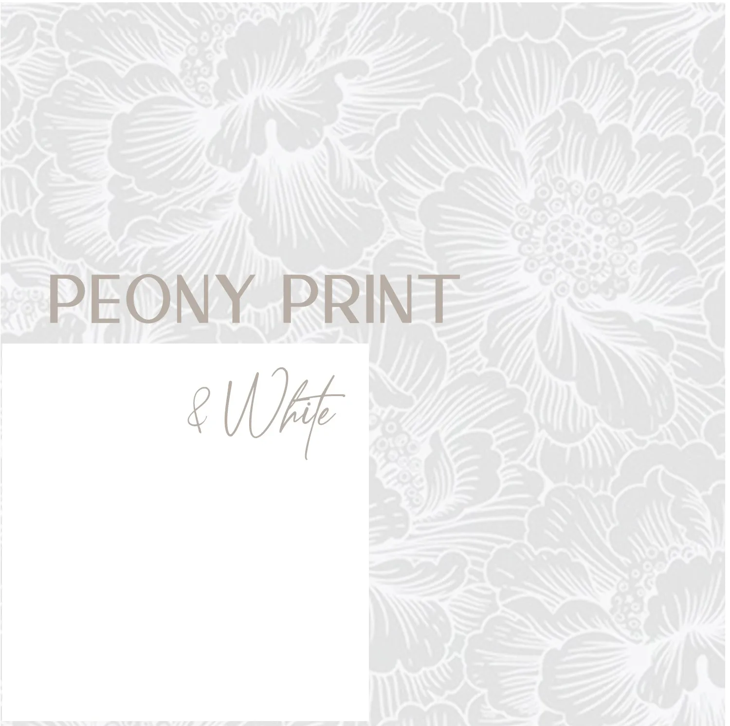 Arichika Bottom| Peony   White