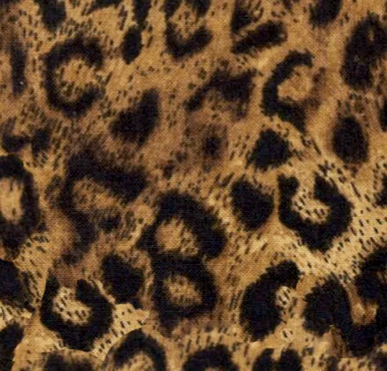 Buffy Thong Bikini Pant - Leopard