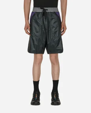 Day-Namic Shorts Multicolor