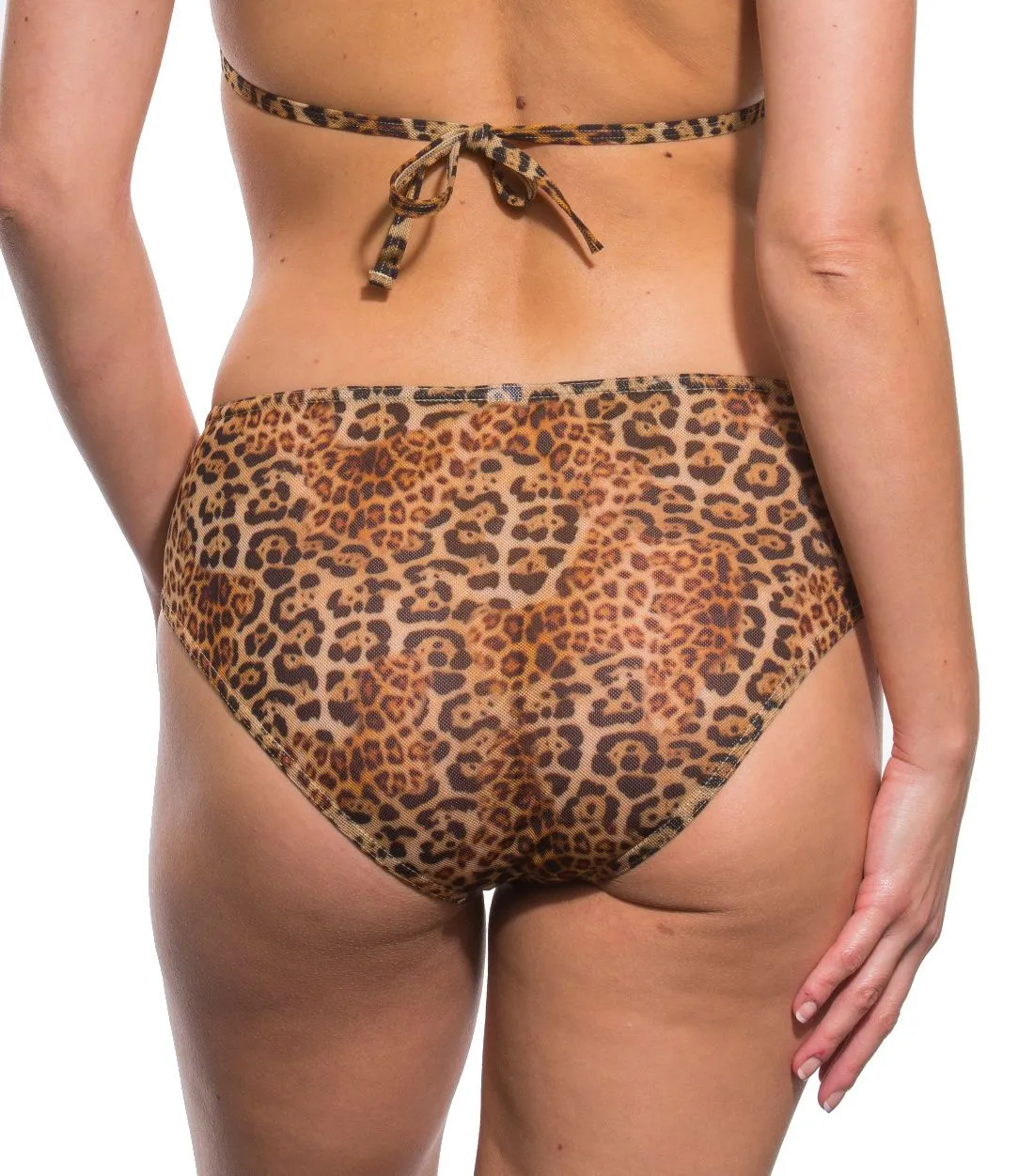 Sabre Tan Through High Waisted Bikini Brief