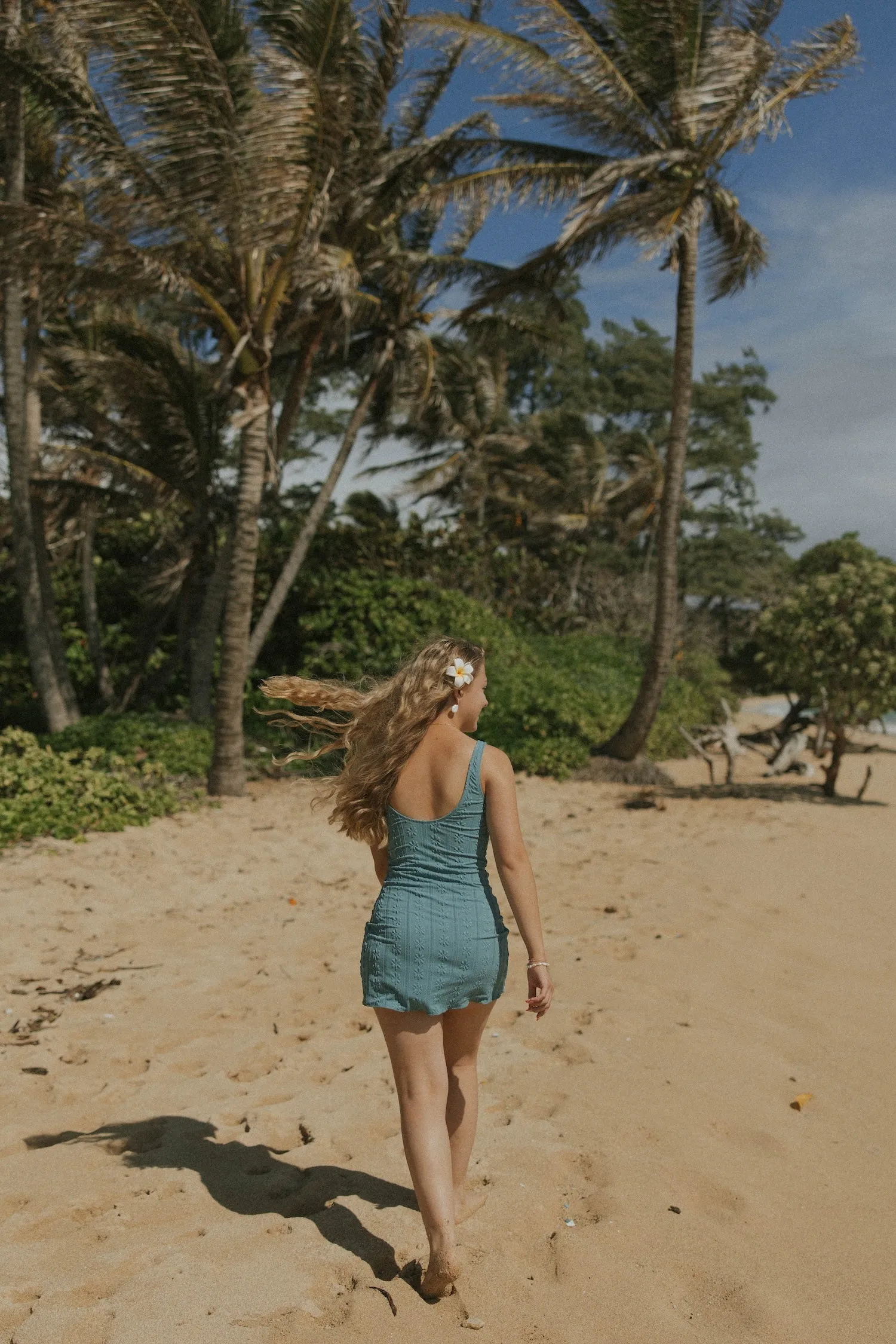 Topaz Swim Dress